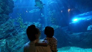 Holiday in Sea Life Bangkok Ocean World poi in Thailand