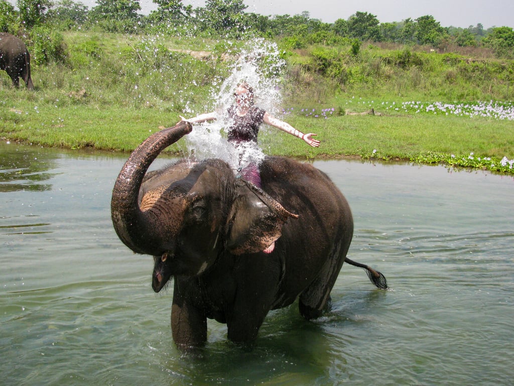 Elephant Bathing Phuket activity Thailand Holiday