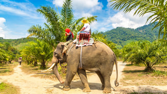 Holiday in Elephant Jungle Sanctuary in Phuket poi in Thailand