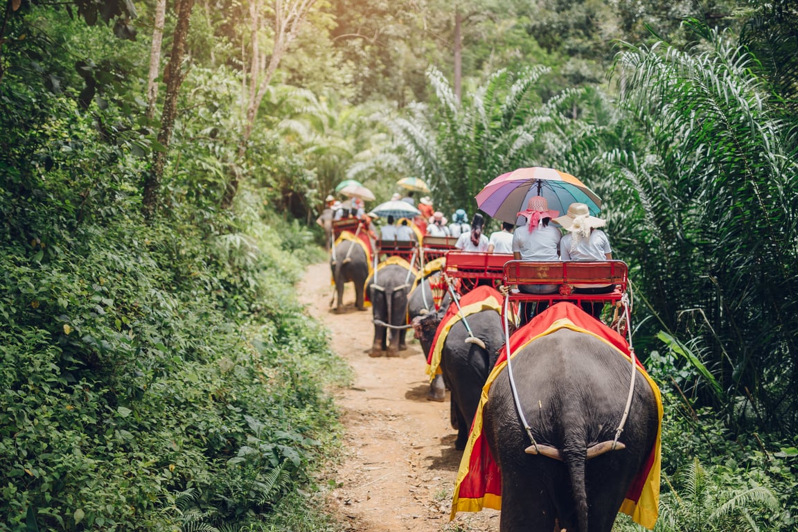 Elephant Trekking Tour excursion Thailand Holiday