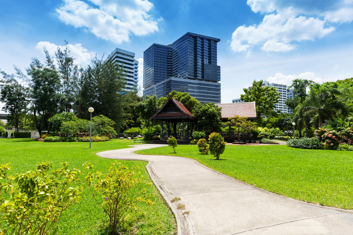 Lumpini Park  Thailand Holiday