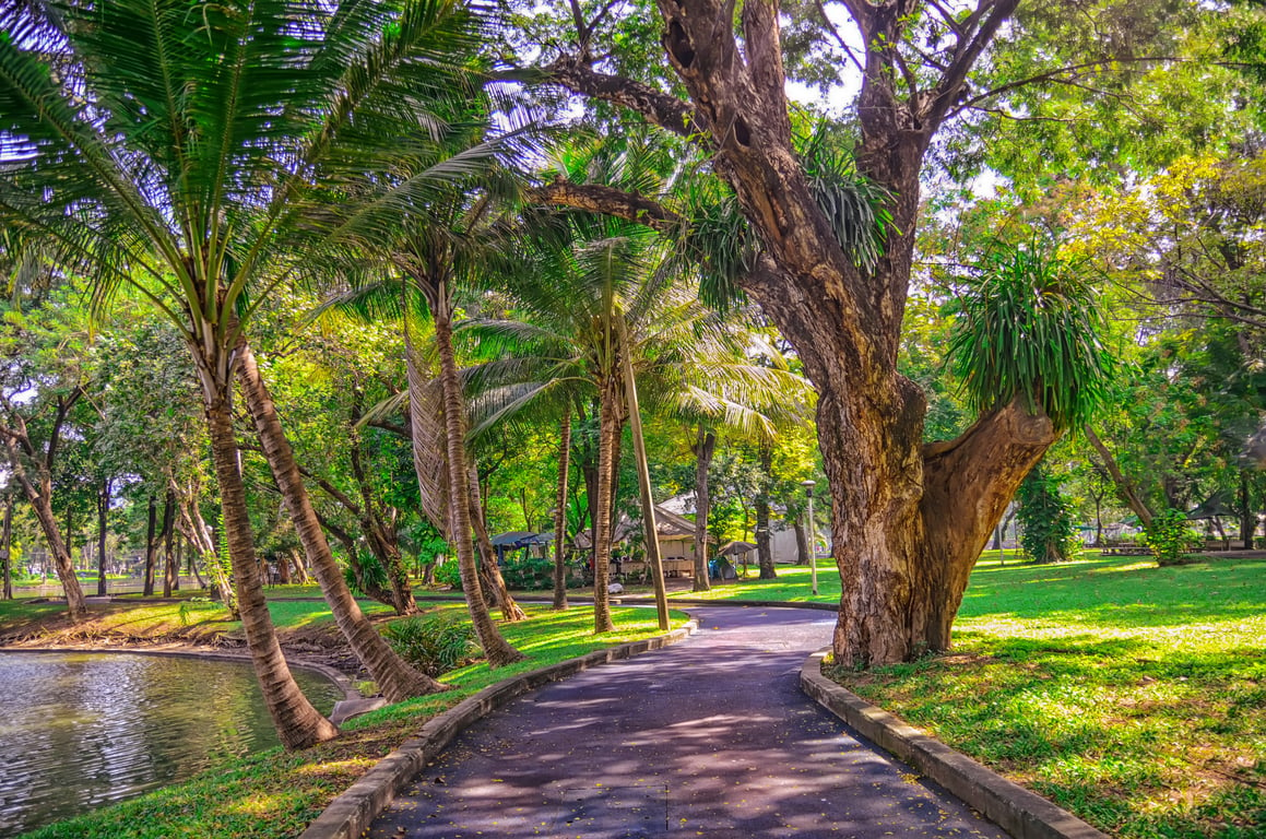 Lumpini Park poi Thailand Holiday