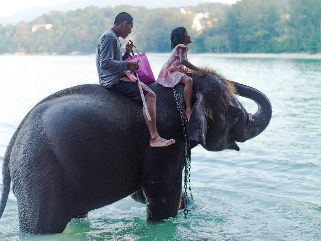 Bathing with elephants in sea excursion Thailand Holiday