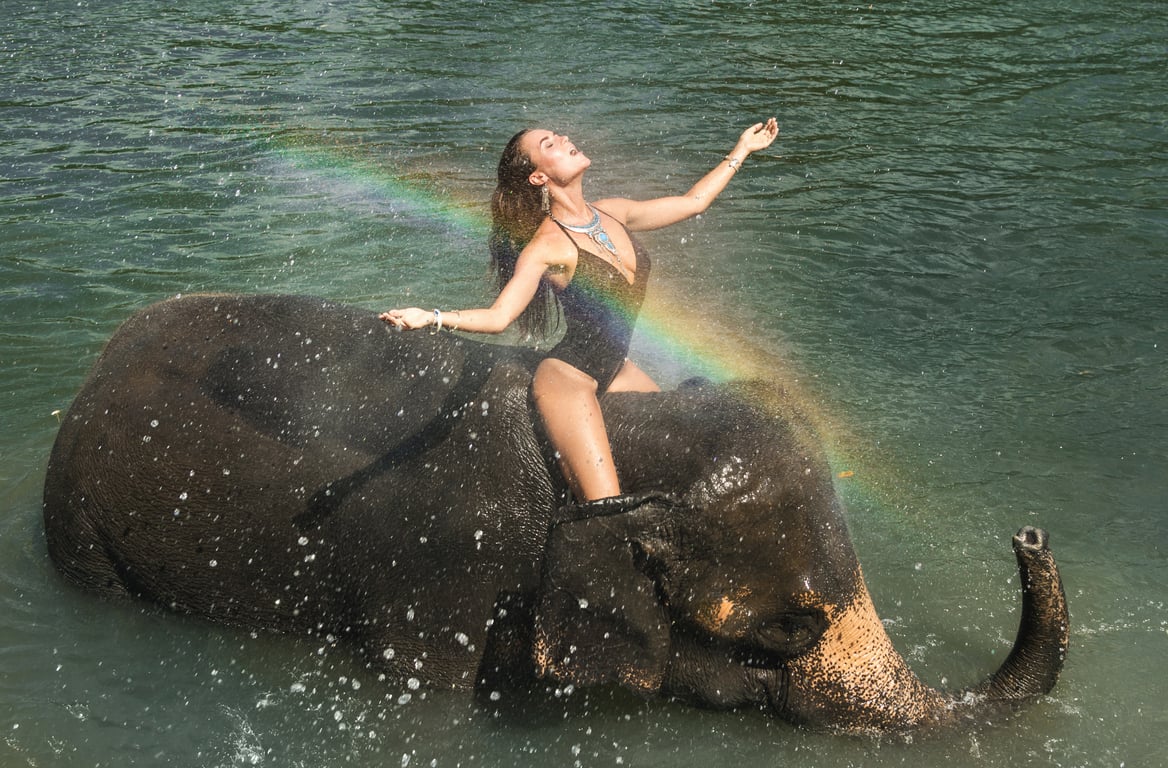 Bathing with elephants in sea  Thailand Holiday