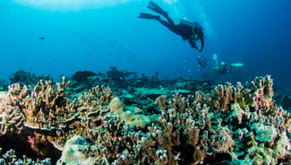 Holiday in Scuba Diving Phuket activity in Thailand