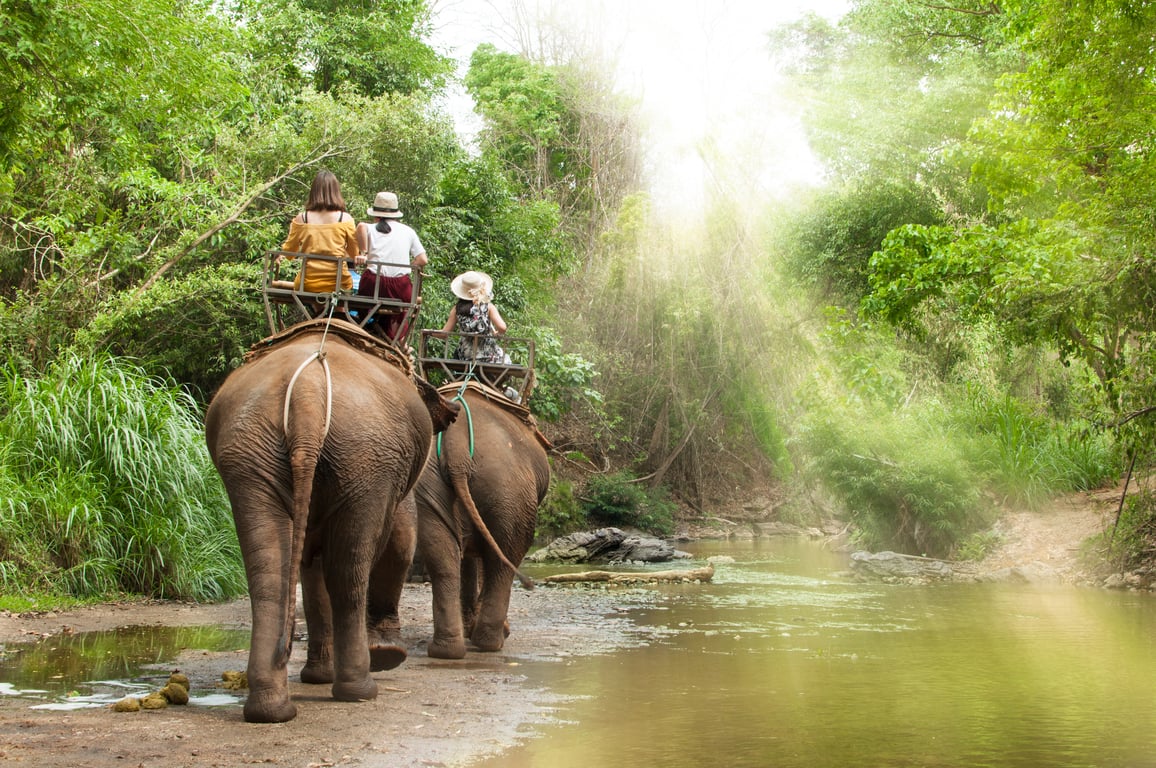 Elephant Trekking Tour  Thailand Holiday