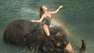 Holiday in Elephant Bathing Phuket activity in Thailand