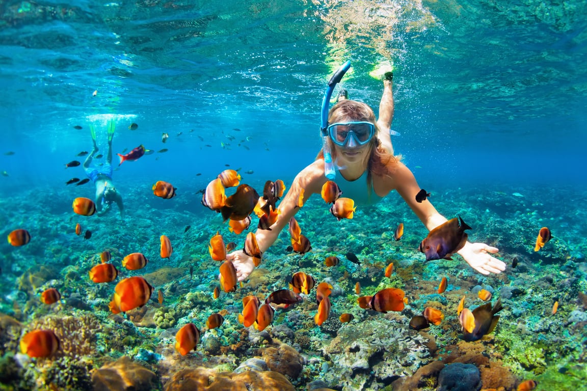 Snorkelling Phuket  Thailand Holiday