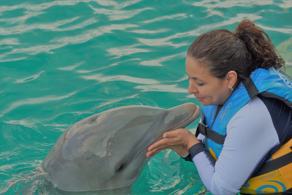 Nemo Dolphin Phuket Show  poi Thailand Holiday