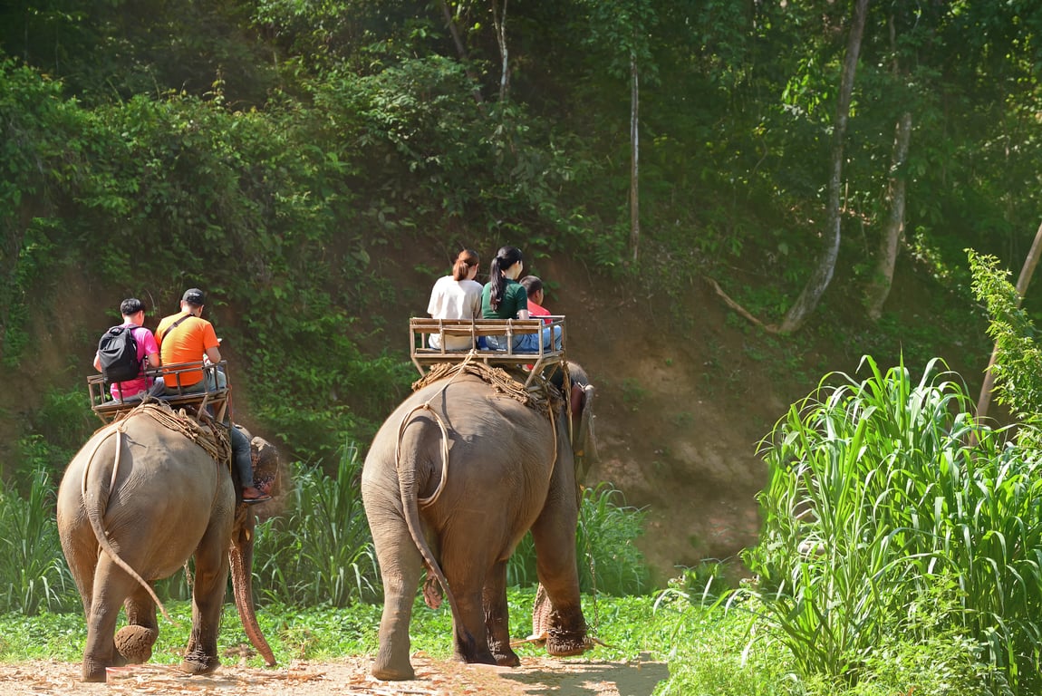 Elephant Trekking Tour excursion Thailand Holiday